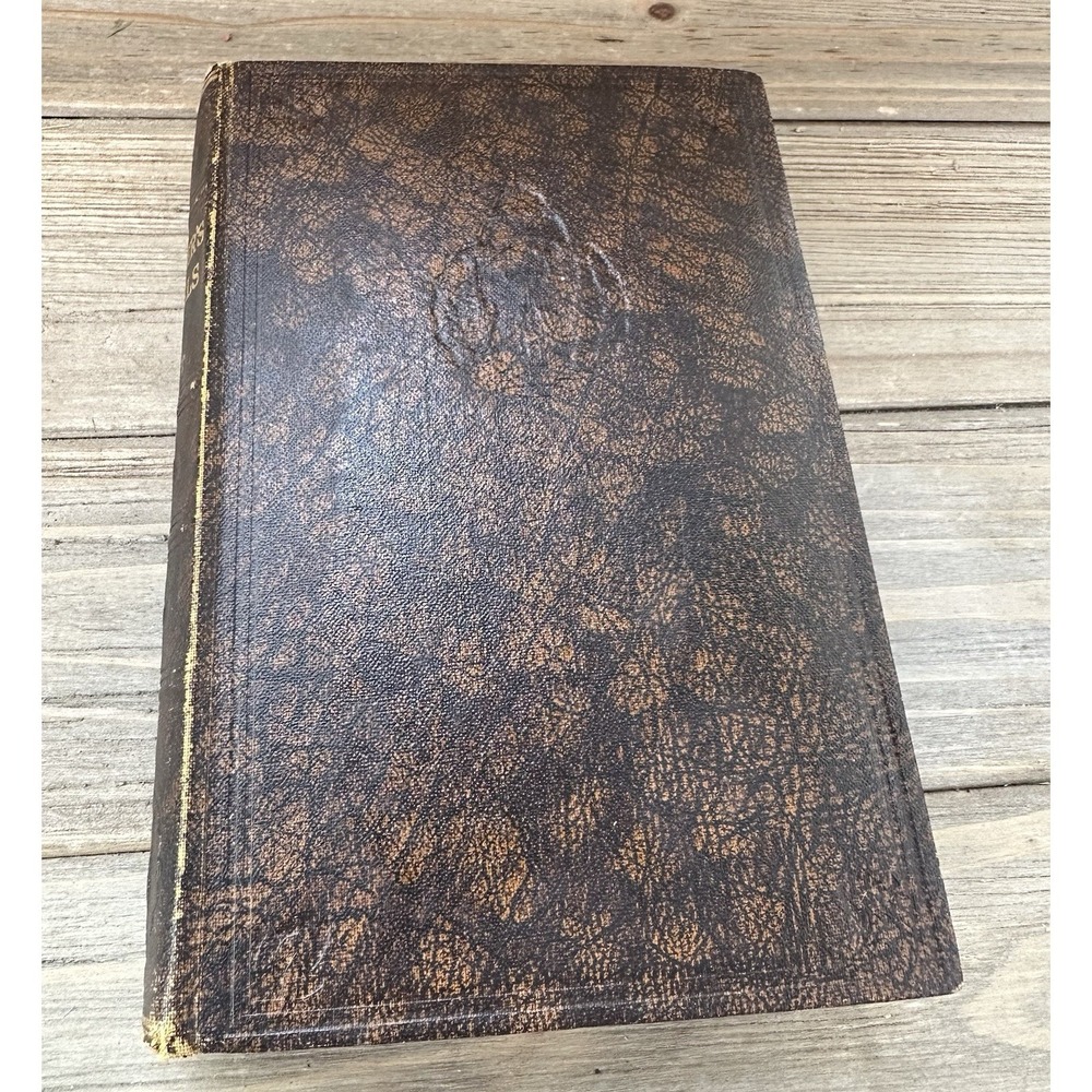 VTG Gulliver's Travels Book Greycaine Publishing 1925